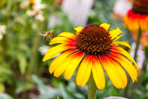 Herbstzauber Kassel Impression